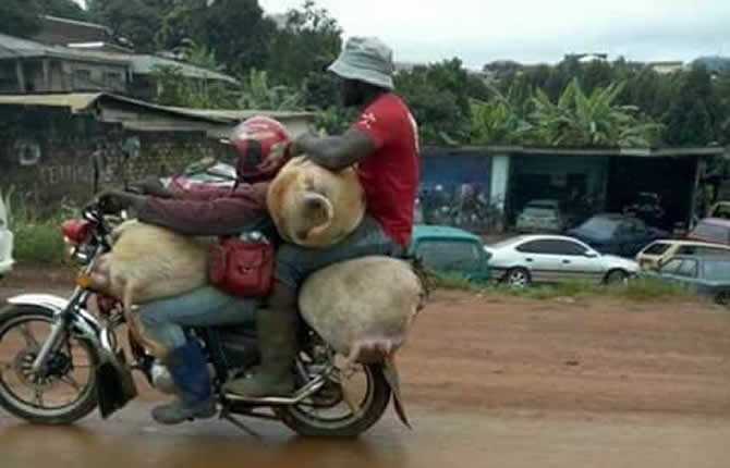 Transport: Nous sommes 5