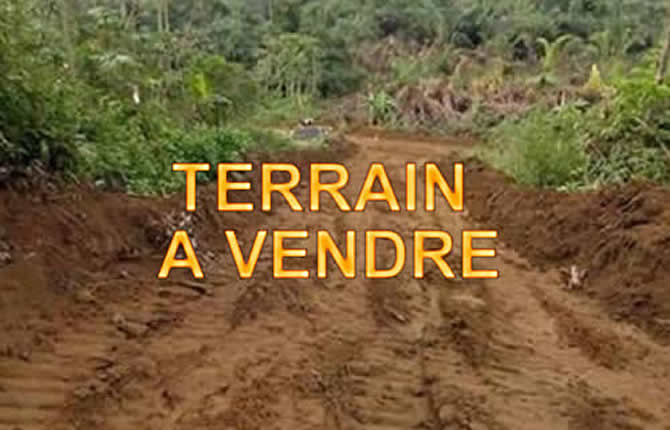 Immobilier au Cameroun : les 