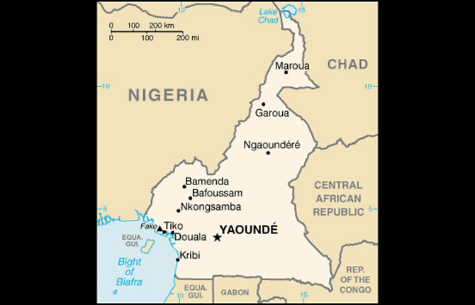 Cameroun-CEMAC : le FMI alerte sur un équilibre fragile derrière le rôle de pilier régional