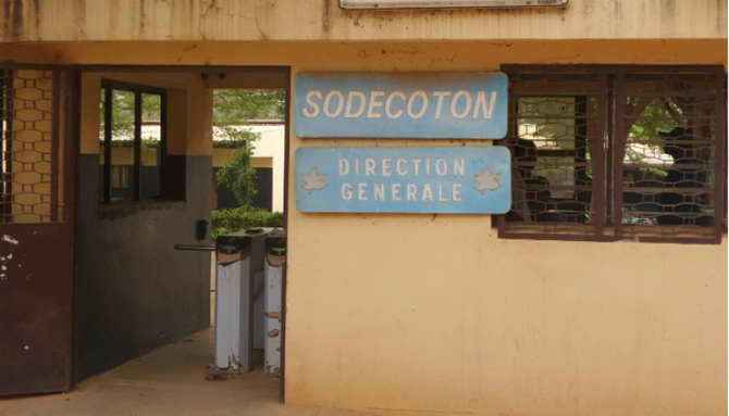 Coton : la Sodecoton expédie 1 000 tonnes de semences au Kenya et vise 600 000 tonnes de production d’ici 2030