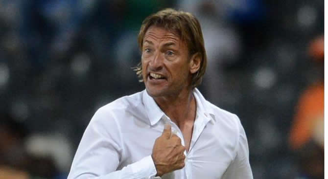 Hervé Renard claque la porte de l’Arabie Saoudite à 2 mois du Mondial : Le vrai scandale caché derrière le départ du 