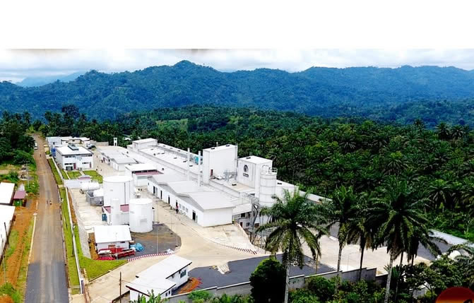 Cameroun : Neo Industry lance une centrale solaire à Kekem, les frères Nkontchou frappent fort avec 100 milliards FCFA dans l’énergie africaine