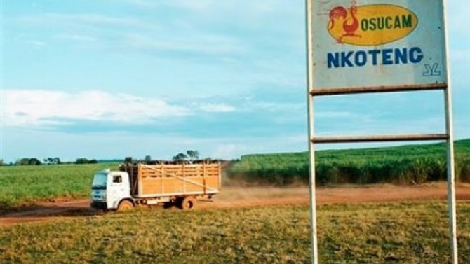 Sucre au Cameroun : Sosucam injecte 2,5 milliards FCFA à Nkoteng et relance la bataille d’un marché sous pression