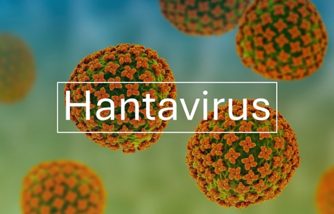 Hantavirus : la psychose gagne l’Europe, les ventes de masques explosent après plusieurs décès sur un navire de croisière