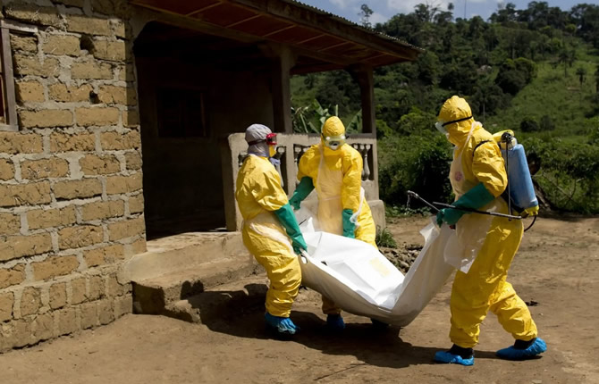Ebola : l’Afrique sous haute alerte, l’OMS déclenche l’urgence internationale après des dizaines de morts en RDC et des cas en Ouganda
