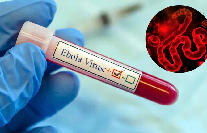 Ebola en RDC : un centre incendié, 159 morts et la planète en alerte maximale face à une épidémie hors de contrôle