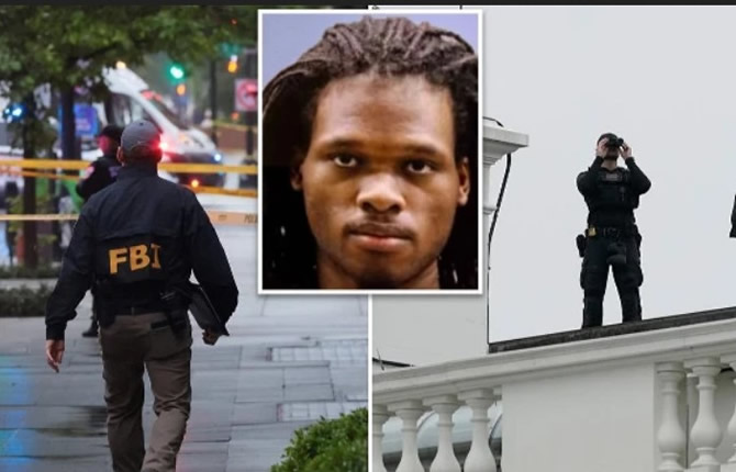 États-Unis : fusillade près de la Maison-Blanche, démission choc de Tulsi Gabbard et évacuation massive en Californie