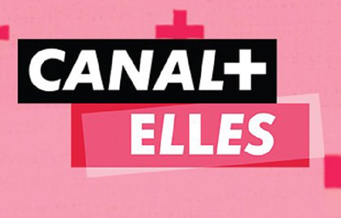 Le Conseil National de la Communication exige la suspension du bouquet Canal plus au Cameroun