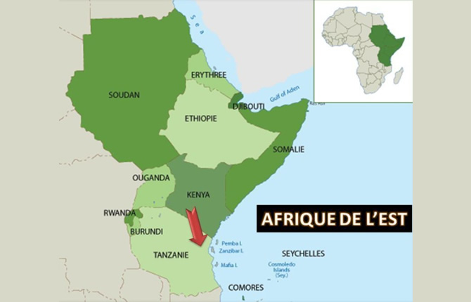 L’Afrique de l’Est veut révolutionner les paiements : les transferts transfrontaliers bientôt en quelques minutes