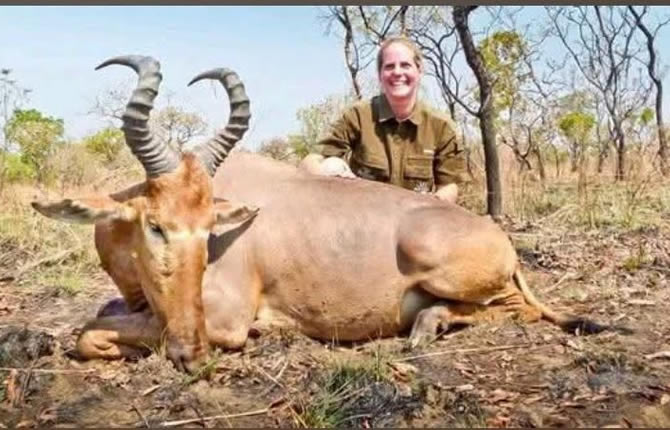 1 640 km² de brousse camerounaise, un guide français chassé par la gendarmerie, une héritière Rothschild : ce que révèle vraiment l'affaire du Faro
