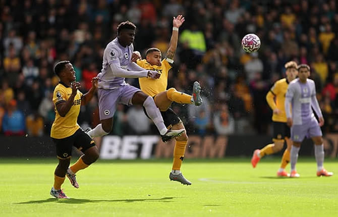Premier League : Baleba et Brighton arrachent un nul face aux Wolves de Tchatchoua (1-1)