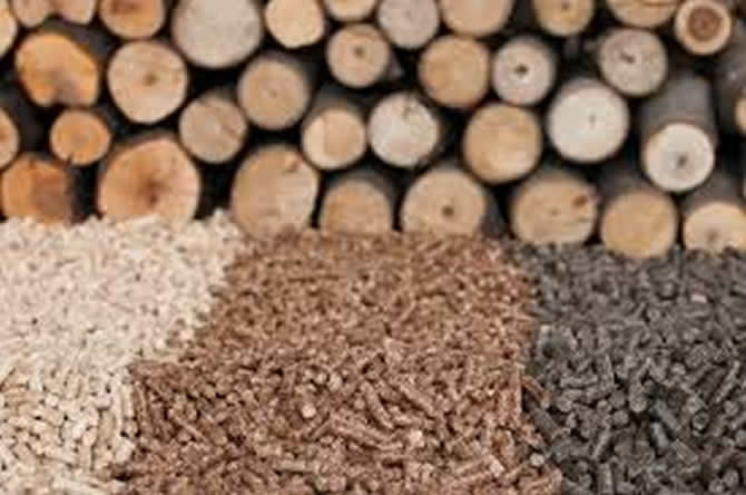 Biomass Cameroon renforce ses capitaux propres, en prélude à son projet de production de combustibles en copeaux de bois