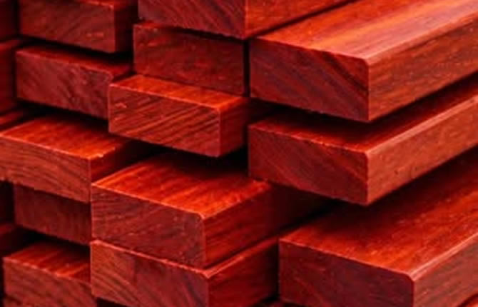 Cameroun : Sefeccam installe à Douala les premiers fours ThermoWood d’Afrique pour transformer le fraké sur place