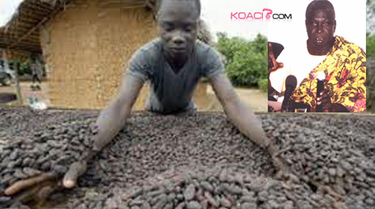 Cacao : le marché camerounais dominé par trois multinationales