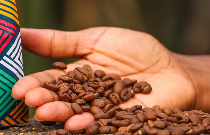 Les caféiculteurs africains perdent des milliards chaque année à cause des prix d'exploitation