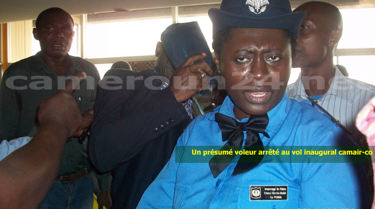 Cameroun - Aéroport international de Douala: Les députés s'inquiètent
