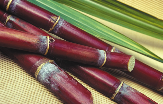 5000 tonnes de sucre à 2,6 milliards de FCFA importées