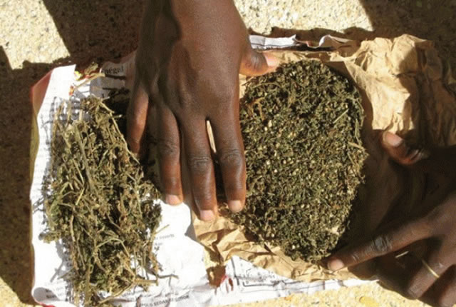 Unorthodox Marijuana Transit Methods in North West