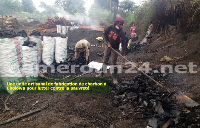 SUD,Fabrication du charbon, une activité en pleine expansion à Ebolowa
