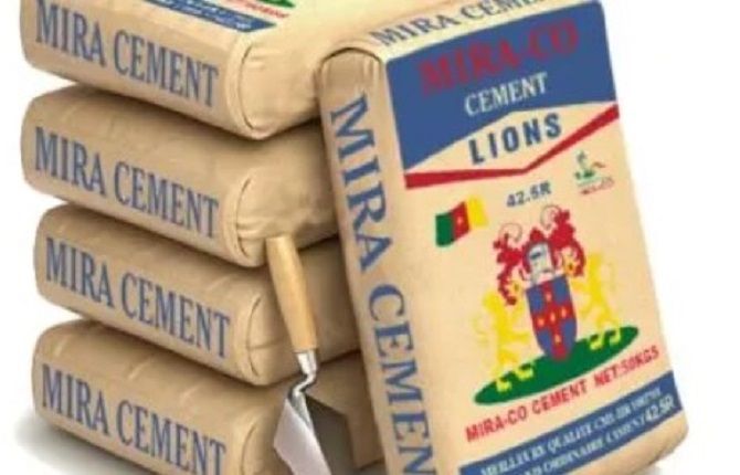 Le ministre du Commerce, Luc Magloire Mbarga Atangana, annonce la baisse du prix du ciment