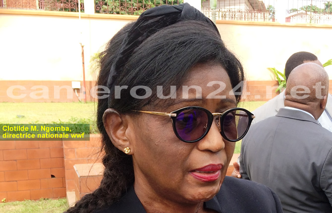 SUD,Gestion durable du bassin du Congo : le Cameroun peaufine son document projet peaufine