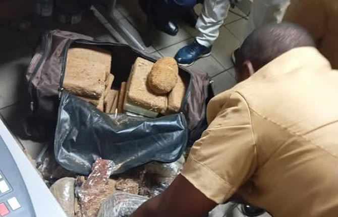 Coca?ne saisie ? Ndokayo : Halcomi frappe encore contre le trafic illicite au Cameroun