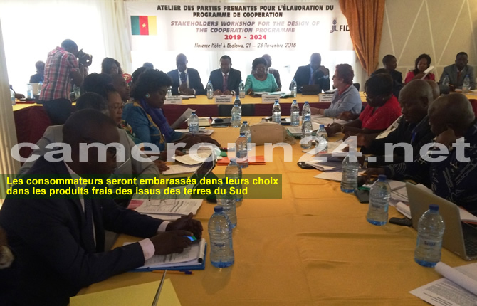 Coopération,Cameroun- Fida : Une perspective pour les nouvelles stratégies d'une coopération