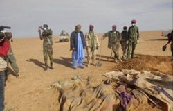 Plus de 2.000 migrants sont décédés dans le Sahara depuis 2014 (ONU)
