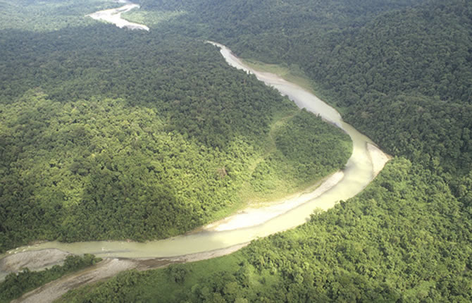 Terre d'immigration, la Guyane française frôle les 300 mille habitants