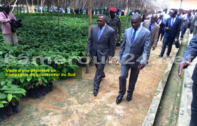 SUD,La cacao-culture camerounaise dessine son avenir à Ebolowa