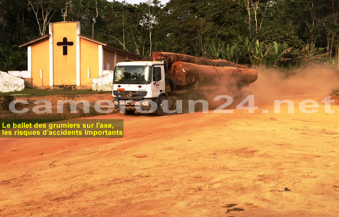 Le Cameroun envisage d’instaurer une redevance de 15?000 FCFA par m3 de bois pour la maintenance des ponts-bascules