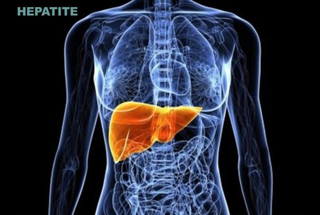 Les hépatites virales, la drépanocytose? des fardeaux pour les familles