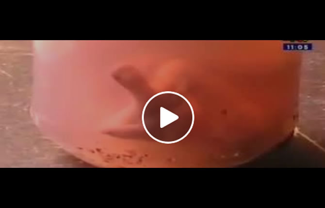 Un homme enfermé  dans une bouteille