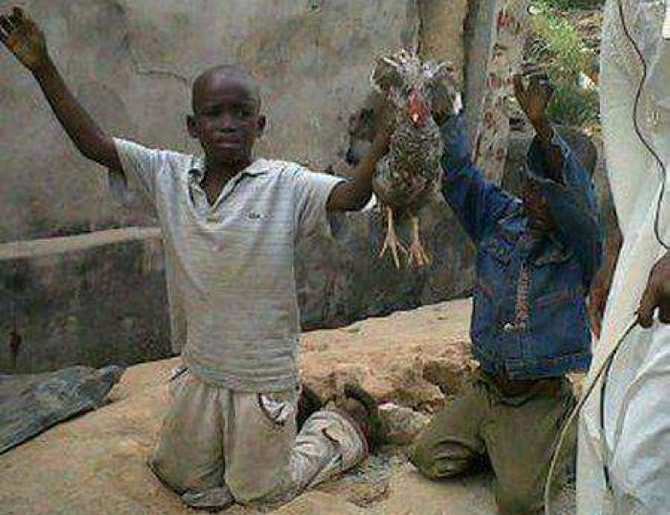 Voleurs de poules