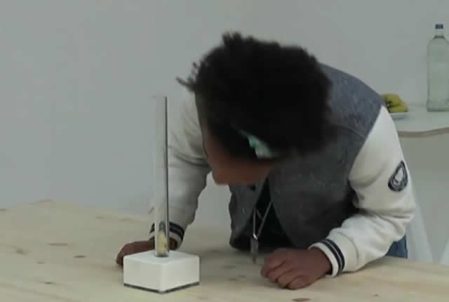 Un singe plus intelligent que les Hommes ... Regardez