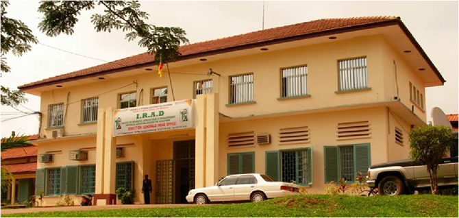 Sécurité alimentaire : 70 000 tonnes de semences certifiées dans le Grand-Nord en 2026, le pari audacieux du Cameroun
