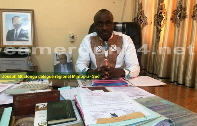 Conseil régional de discipline du Minfopra sud