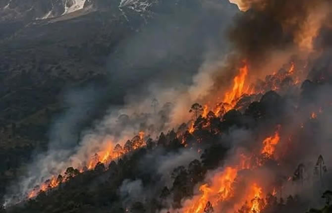Mont Kenya en flammes, bateau disparu en Indonésie : deux drames qui inquiètent