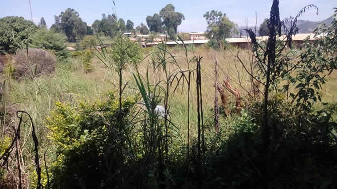 Le Lycée Bilingue de KUMBO devenu un véritable champ de ruines