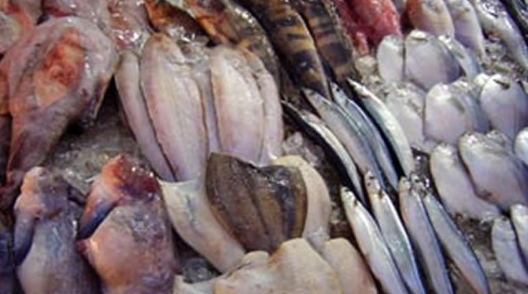 Douala : Le maquereau introuvable dans les poissonneries