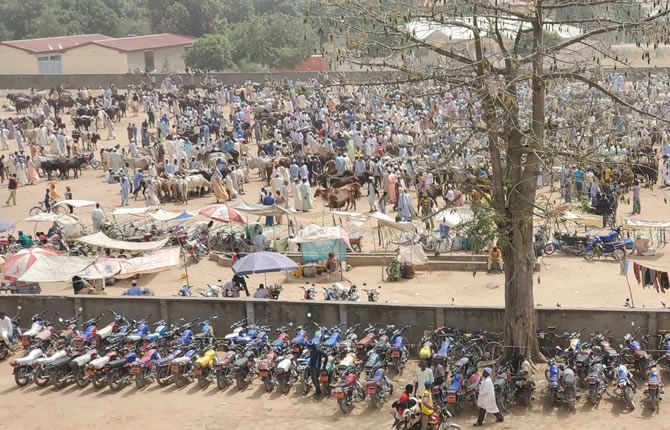 Extrâme-Nord : Un second appel ? la mobilisation de 100 000 jeunes prévu ? Maroua le 12 mai