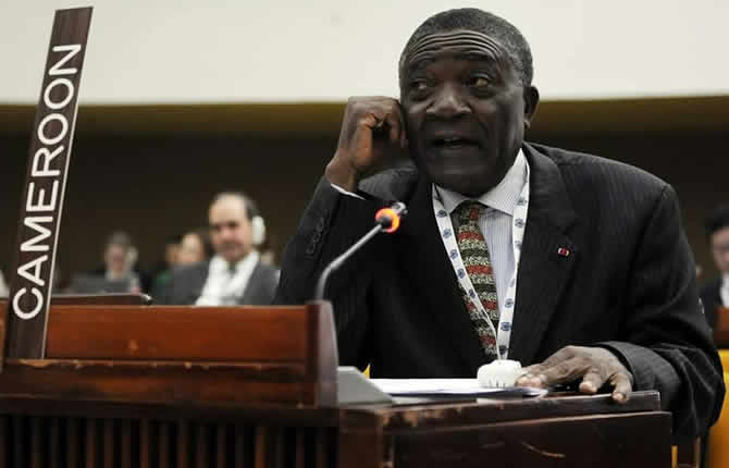 Déclaration de l'ambassadeur du Cameroun à l'ONU sur la situation humanitaire au Cameroun