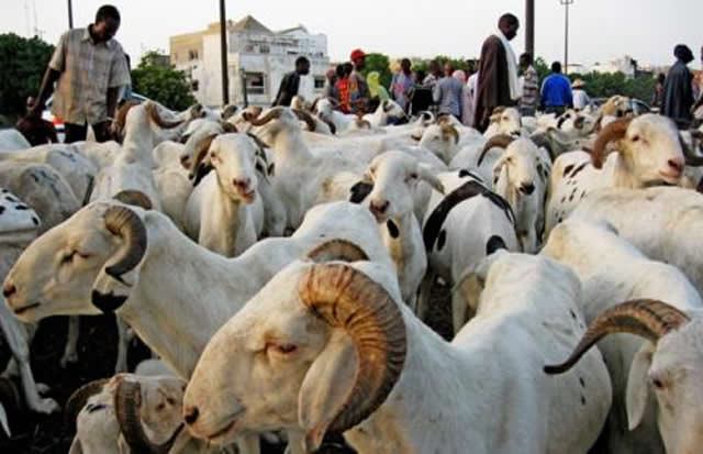 Cameroun: La fête de l?Aïd el-Kébir célébrée mardi
