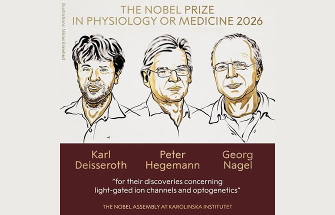 Nobel de médecine 2026 : ces 3 chercheurs qui allument et éteignent nos souvenirs avec de la lumière