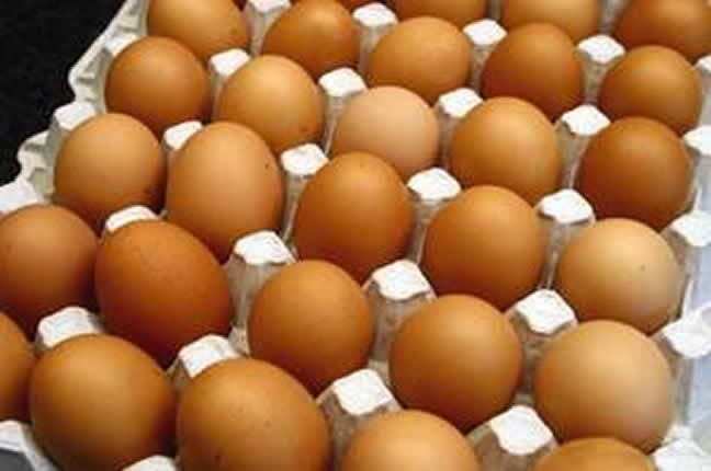 Les poules pondeuses plus cheres