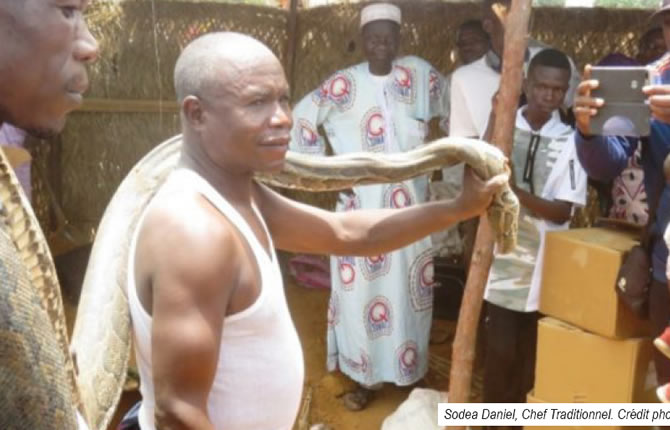 Comment l’homme Gbaya attrape le serpent ?