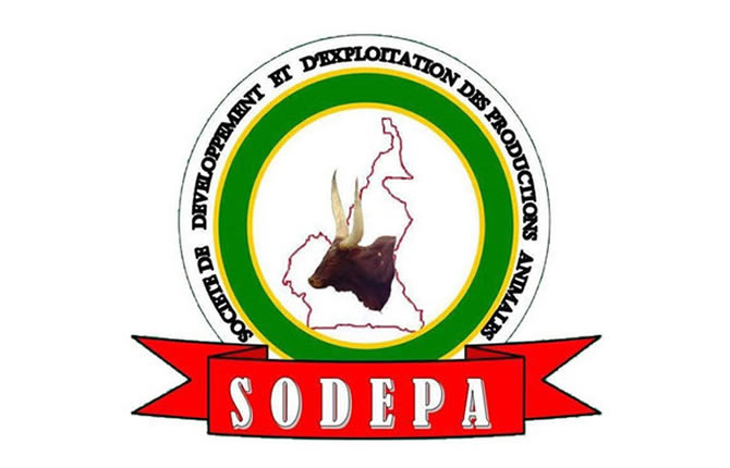 Sodepa : 92,7 millions FCFA de créances irrécouvrables, pertes record et un modèle économique sous pression
