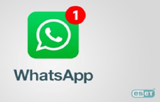 Nouvelles conditions d'utilisation WHATSAPP : Quels changements pour les entreprises ?