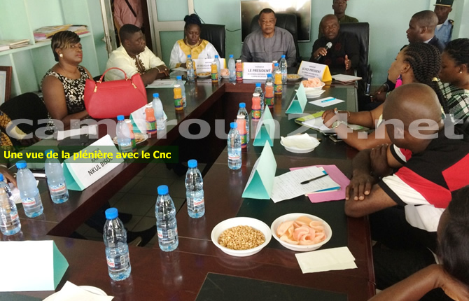 cnc_responsables_radios_communautaires_pleiniere